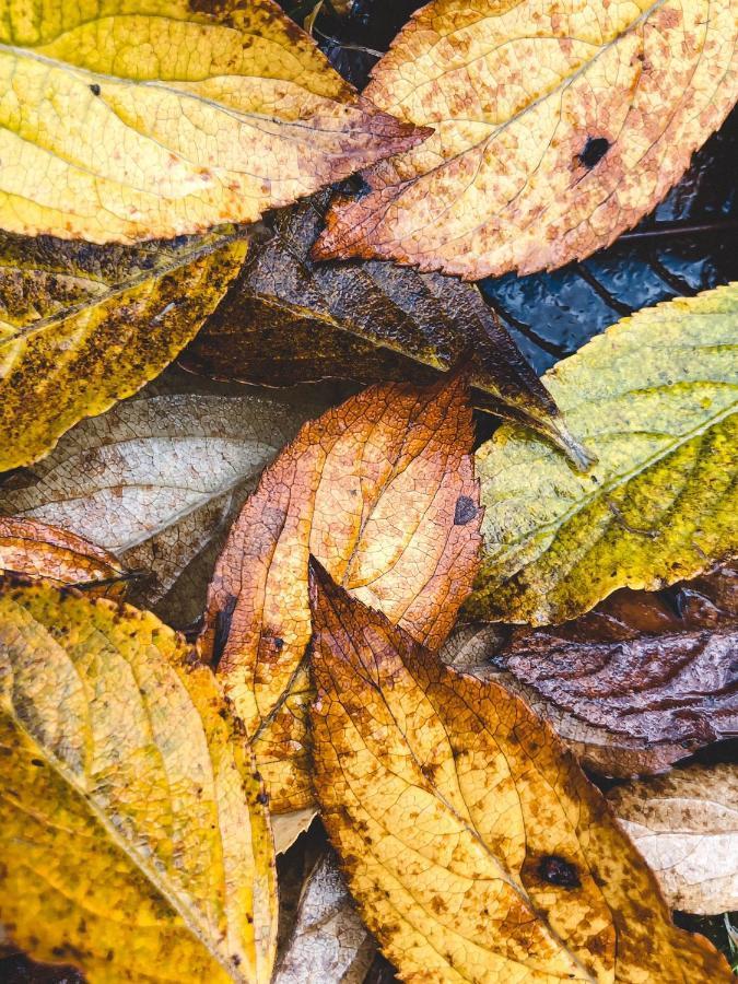 Atputas Vieta Braltirumi Purciems Exteriér fotografie