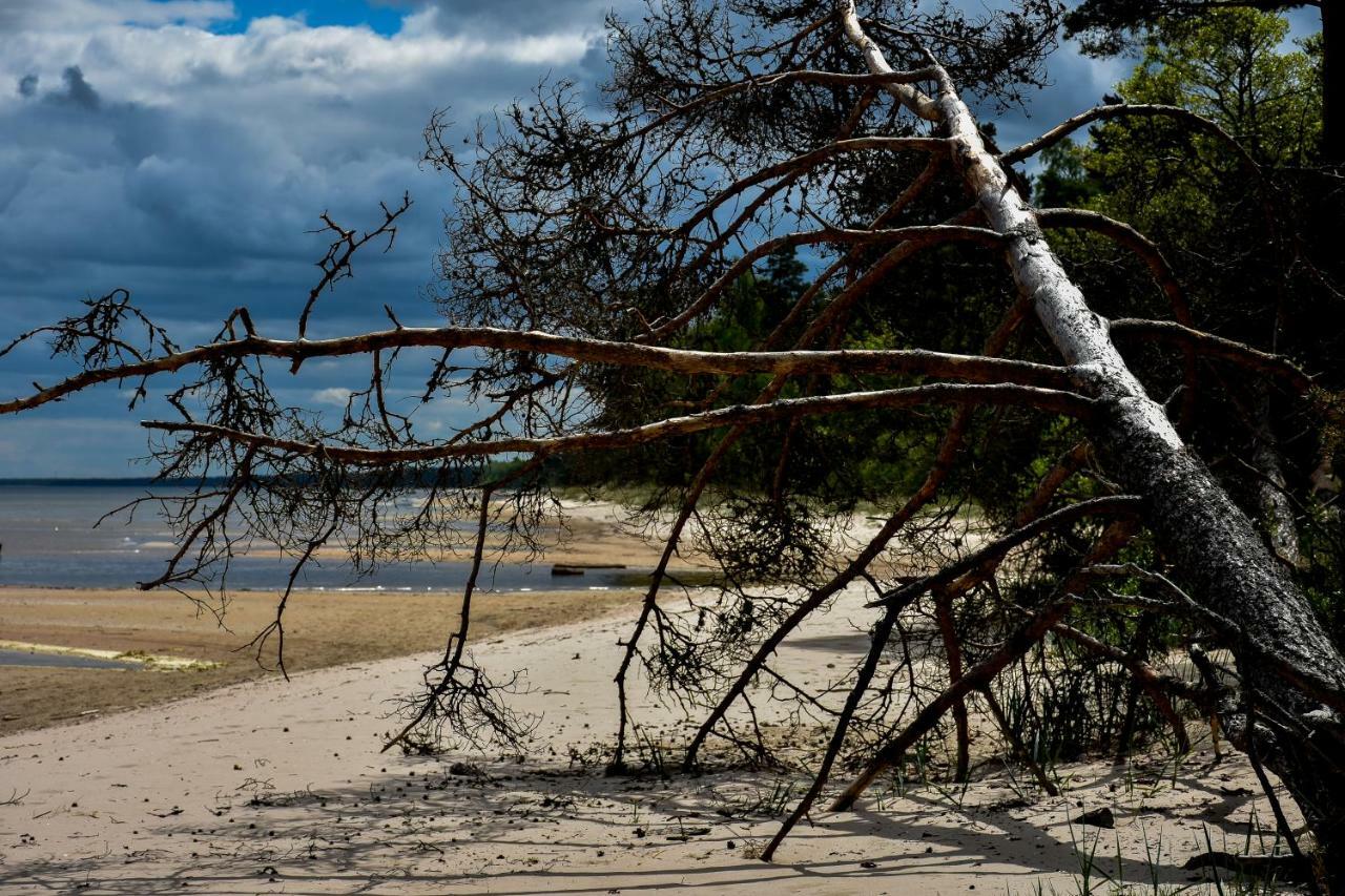Atputas Vieta Braltirumi Purciems Exteriér fotografie